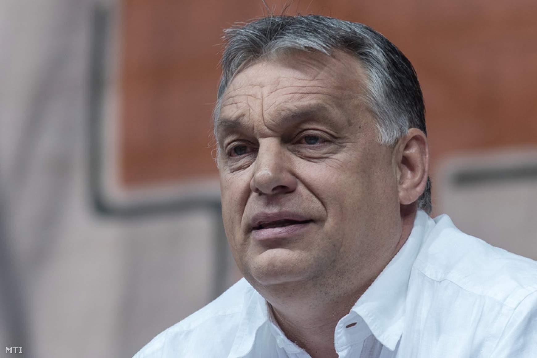 Orbán Viktor, harmadik unoka