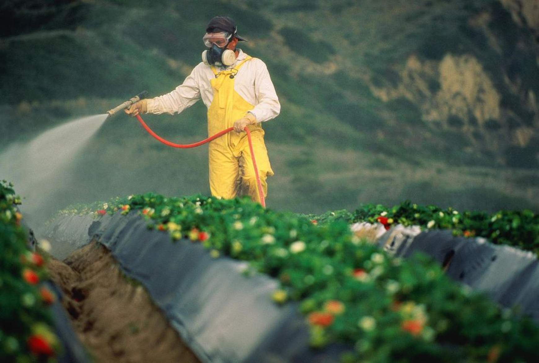 roundup.jpg roundup.jpg