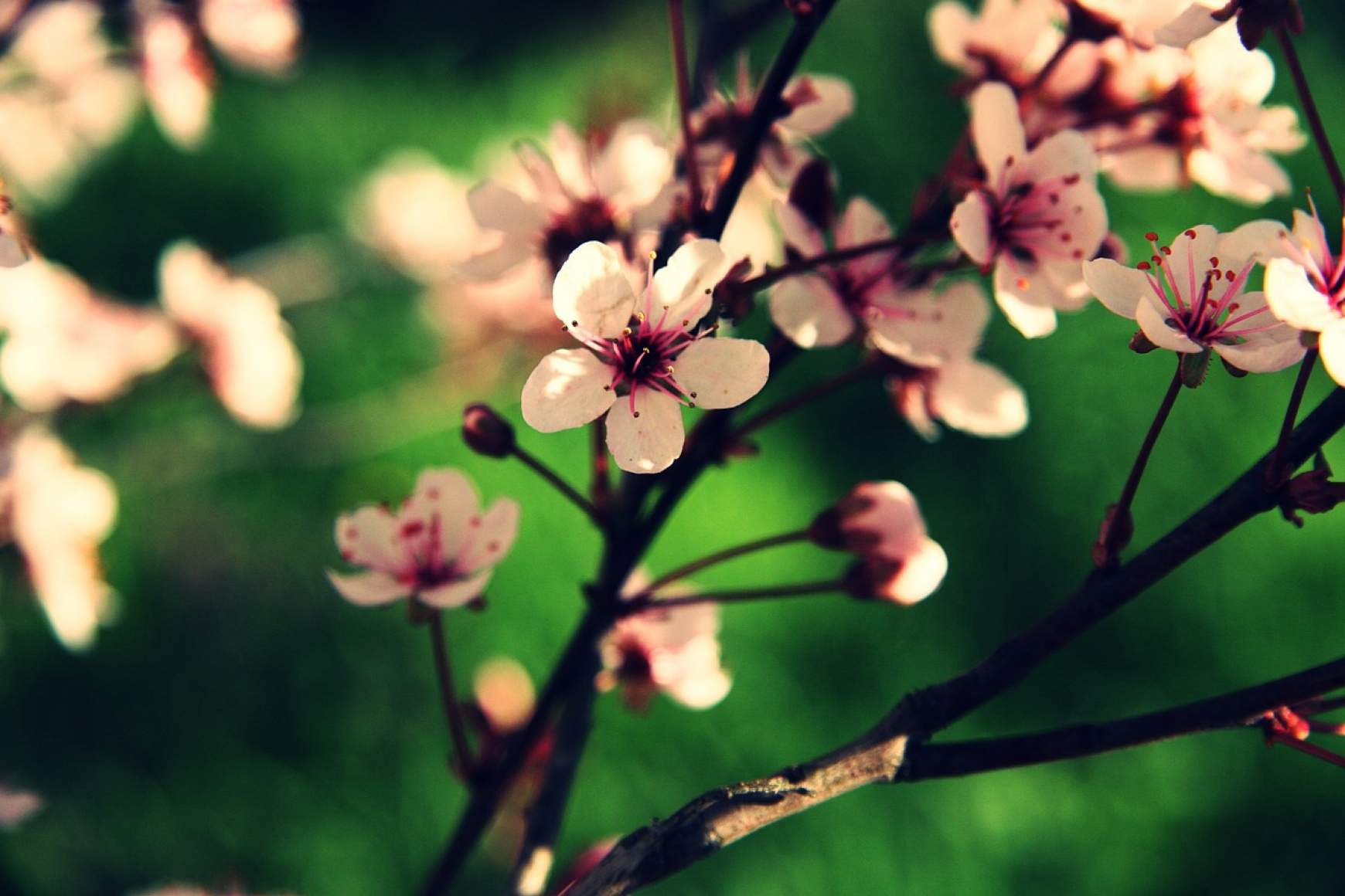 aprilis-meleg.jpg aprilis-meleg.jpg