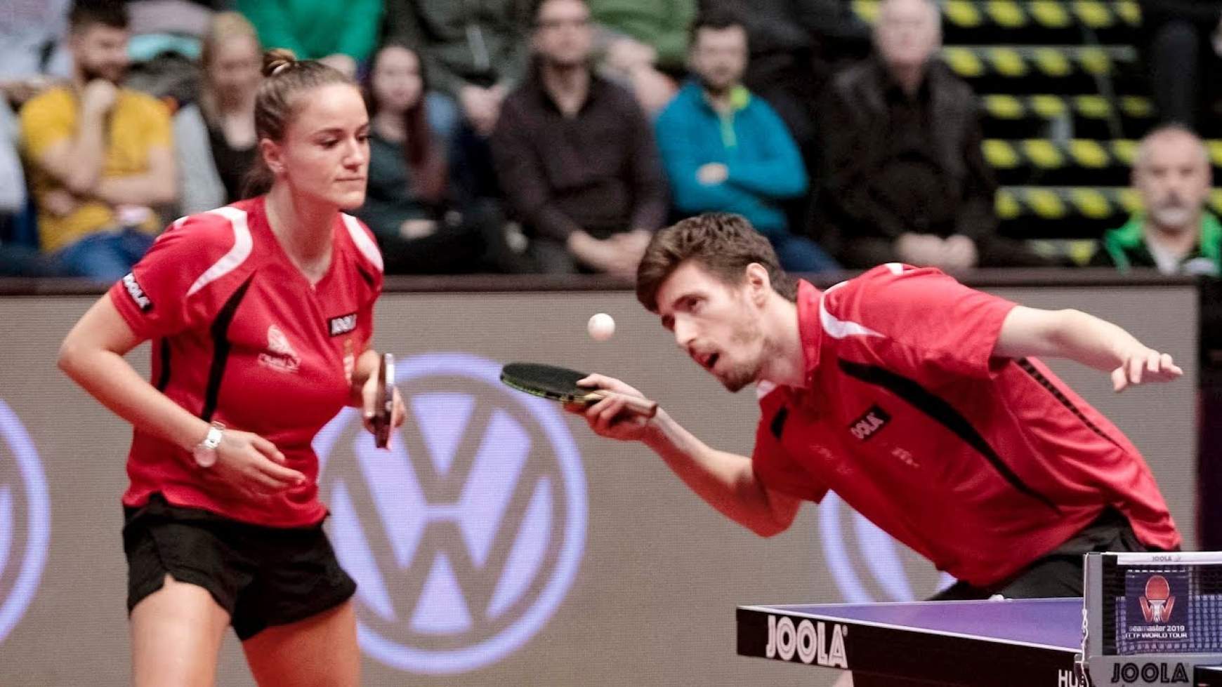 pergel-szurdi-pingpong.jpg pergel-szurdi-pingpong.jpg