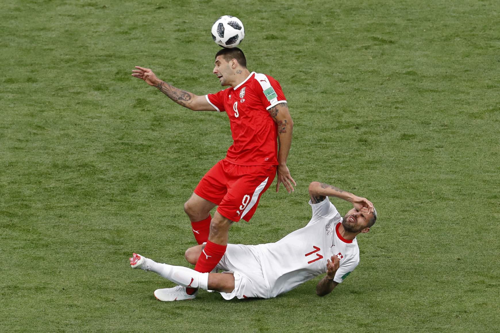Aleksandar Mitrovic Aleksandar Mitrovic