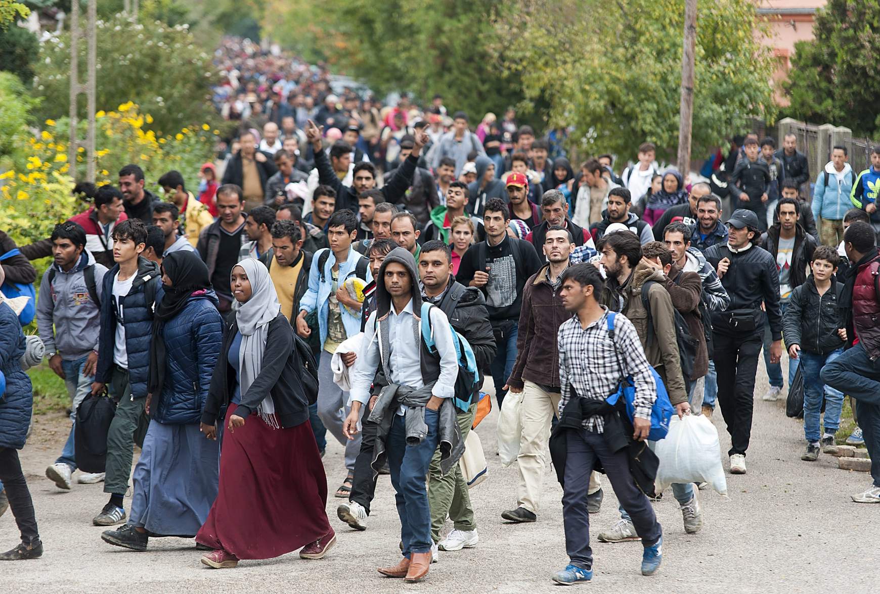 ensz-migracio.jpg ensz-migracio.jpg