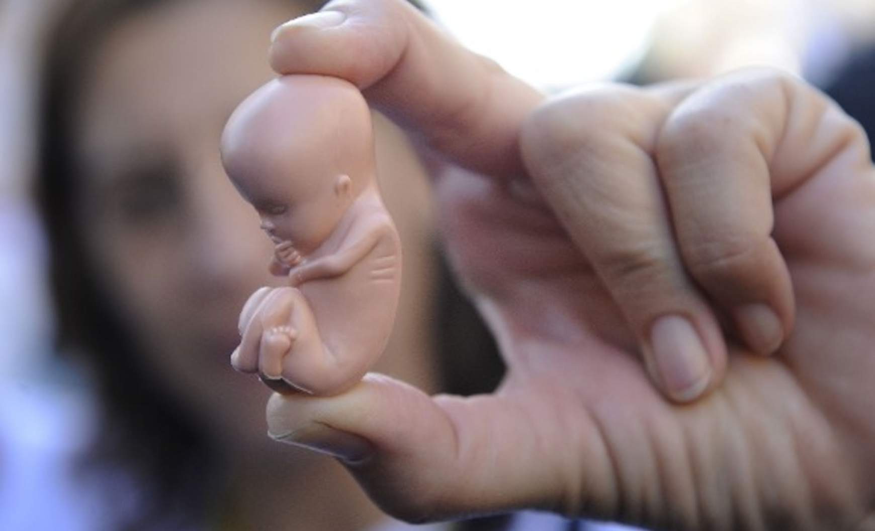 abortusz-torveny.jpg