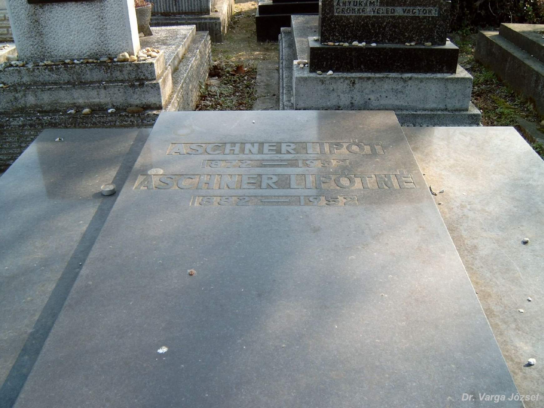 Aschner Lipót síremléke