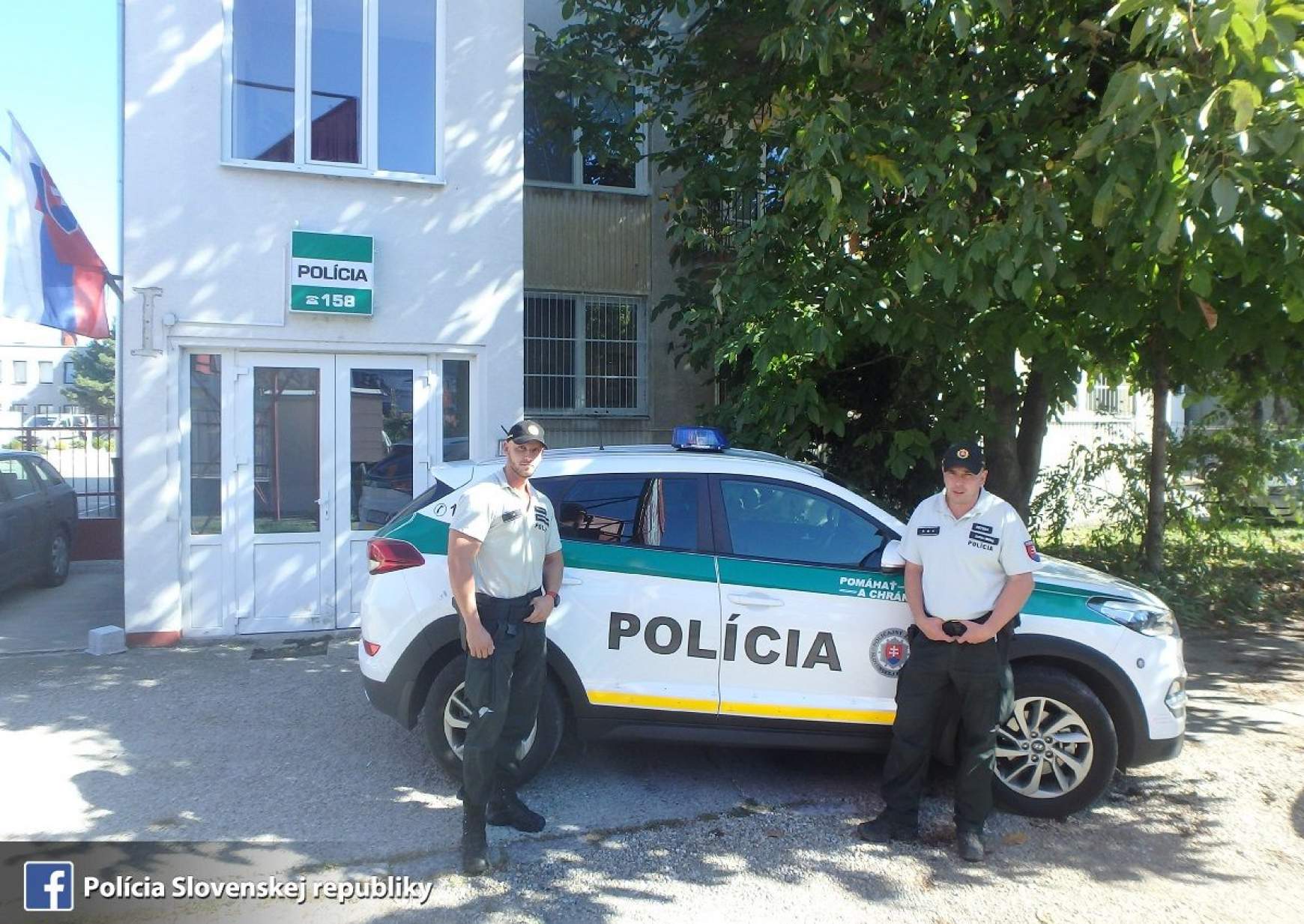 Tolvajlási kísérlet - Gomba Tolvajlási kísérlet - Gomba