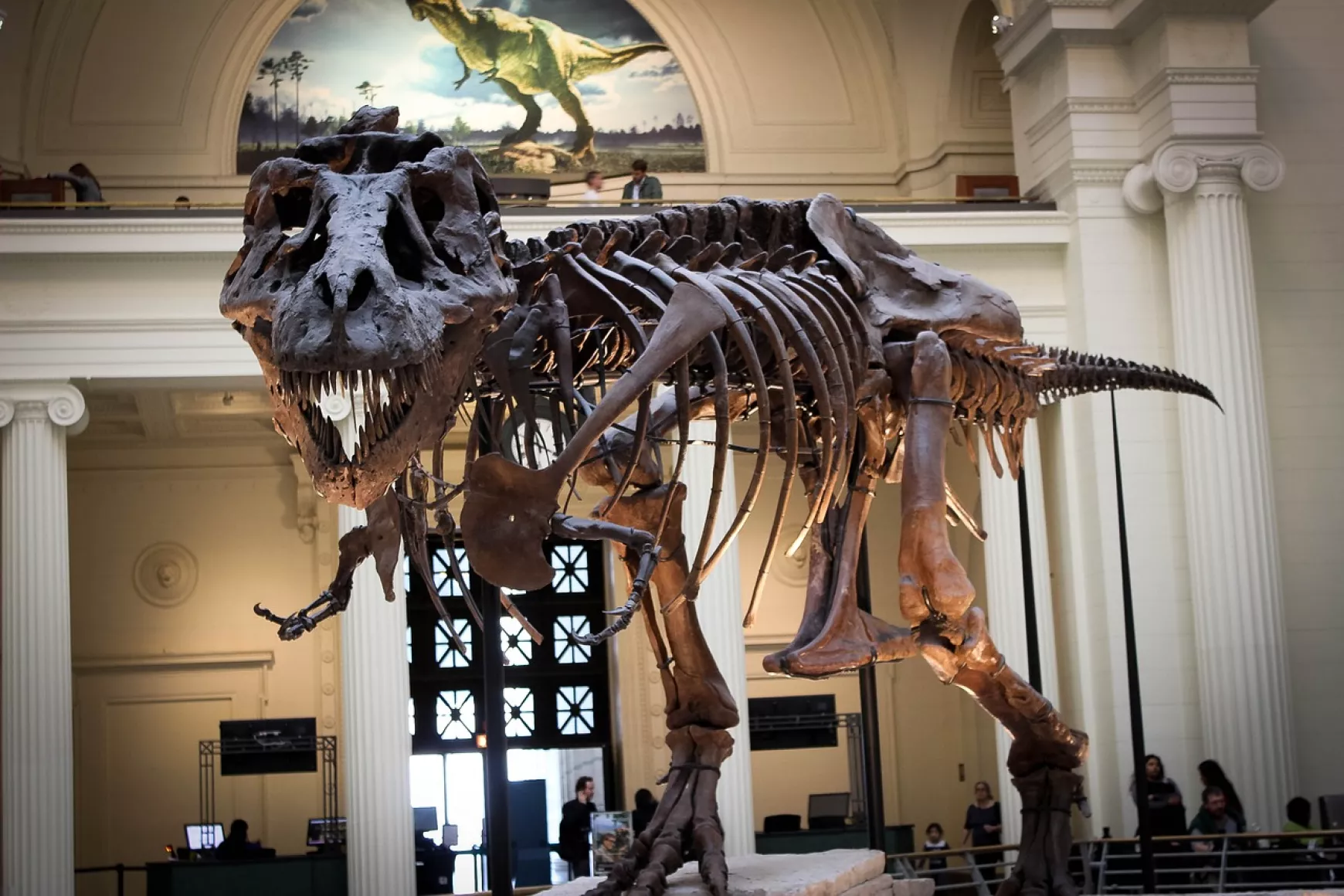 dinoszaurusz