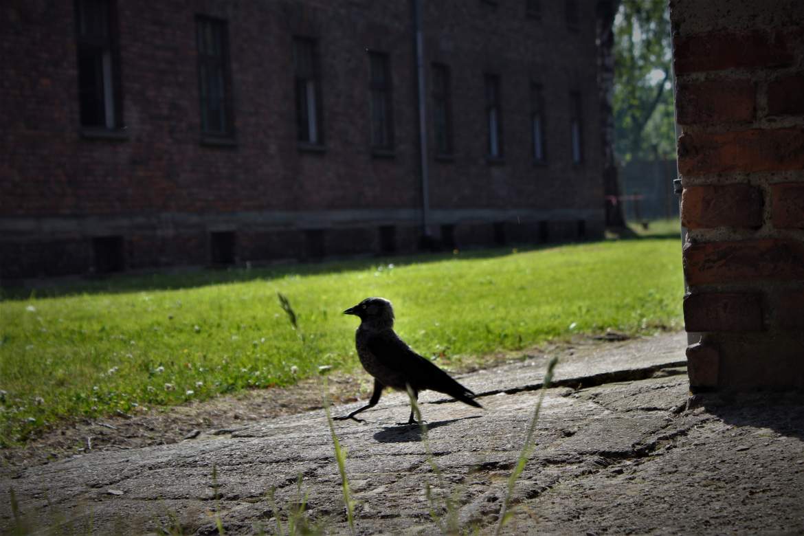 Auschwitz-Birkenau