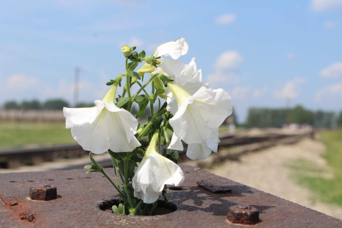 Auschwitz-Birkenau