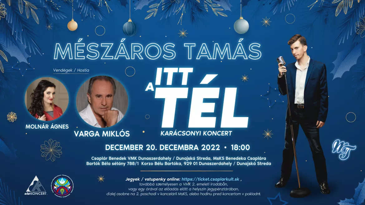 Mészáros Tamás