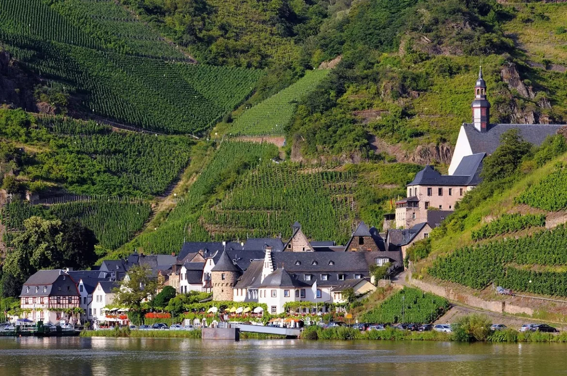 mosel-6