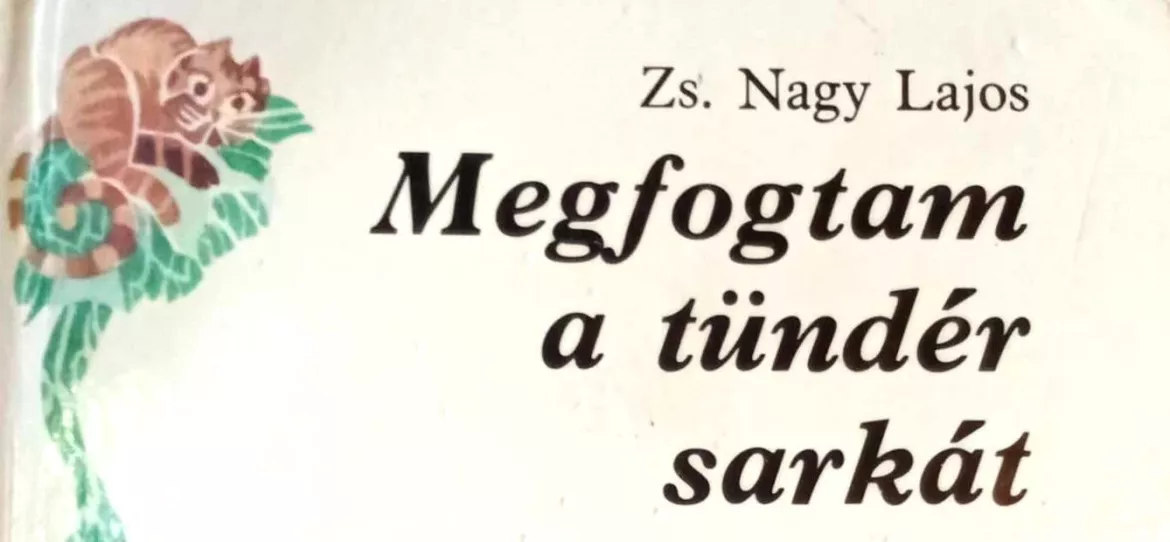 zs.-nagy-fejlec