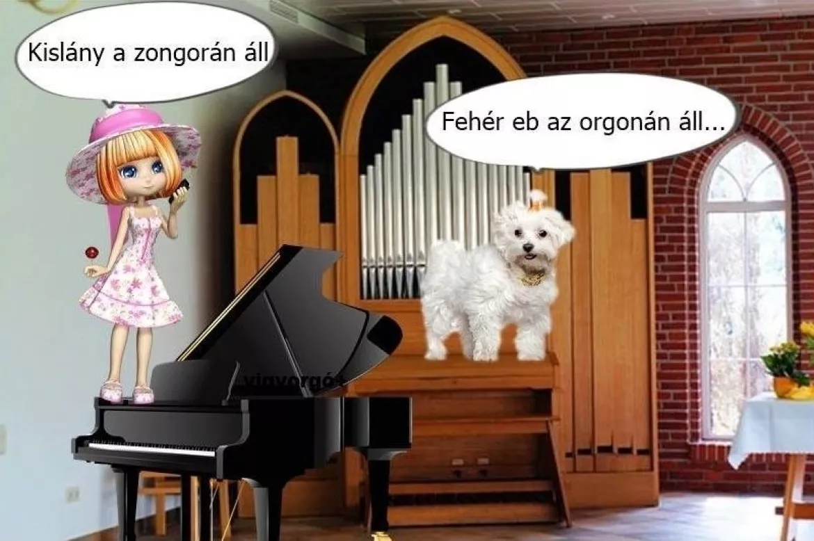 kislany-az-orgonan-all-radio-88-szeged