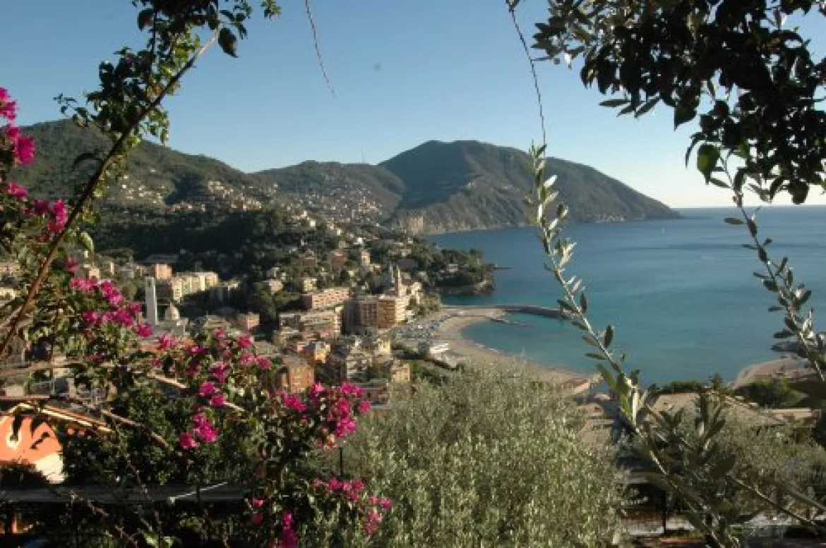 Benedek Tibor – Recco (Olaszország)