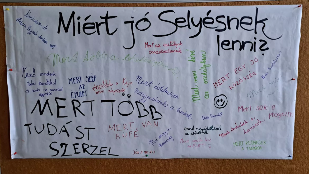Ha vonz a selyés kisgimis élet, a nyílt nap délutáni műsorát még eléred… - KÉPEKKEL
