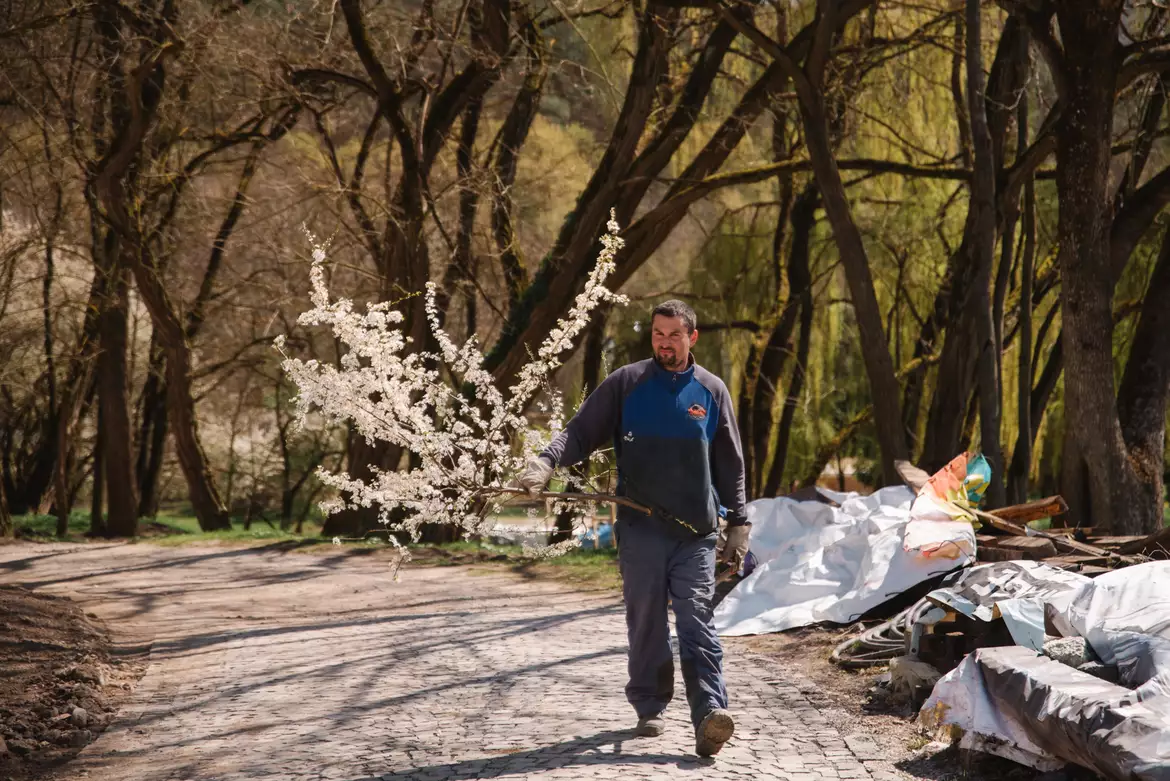 Gombaszög, pálos kolostor, kápolna, tetőszerkezet