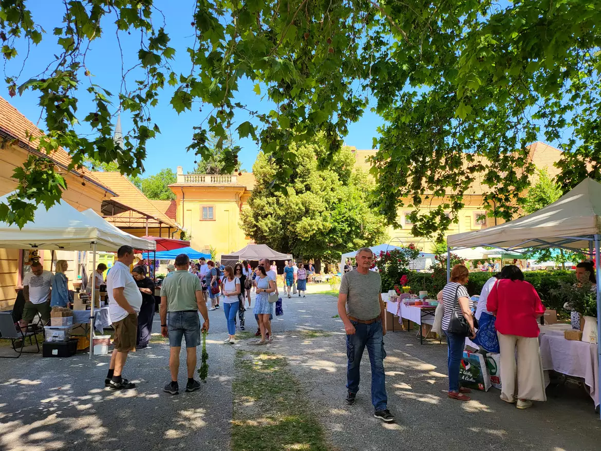Esterházy piac Tallós