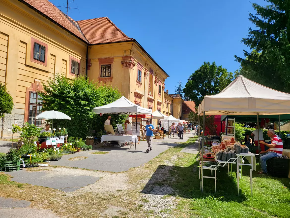 Esterházy piac Tallós