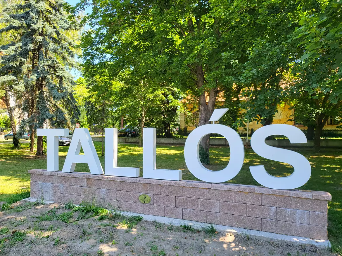 Esterházy piac Tallós