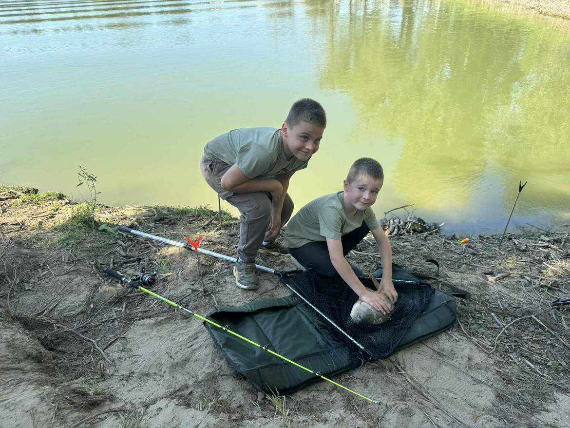 Harcsafesztivál Zsigárdon
