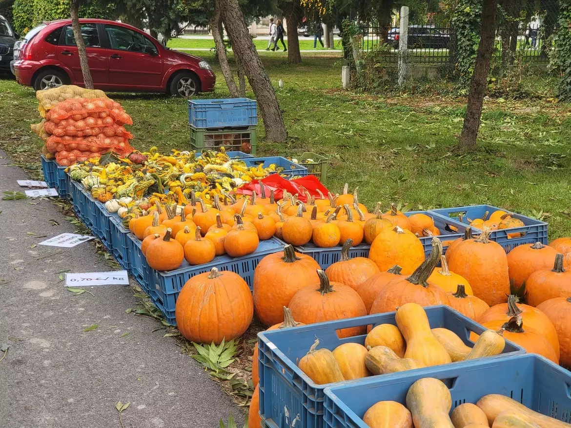 Tallósi őszi piac