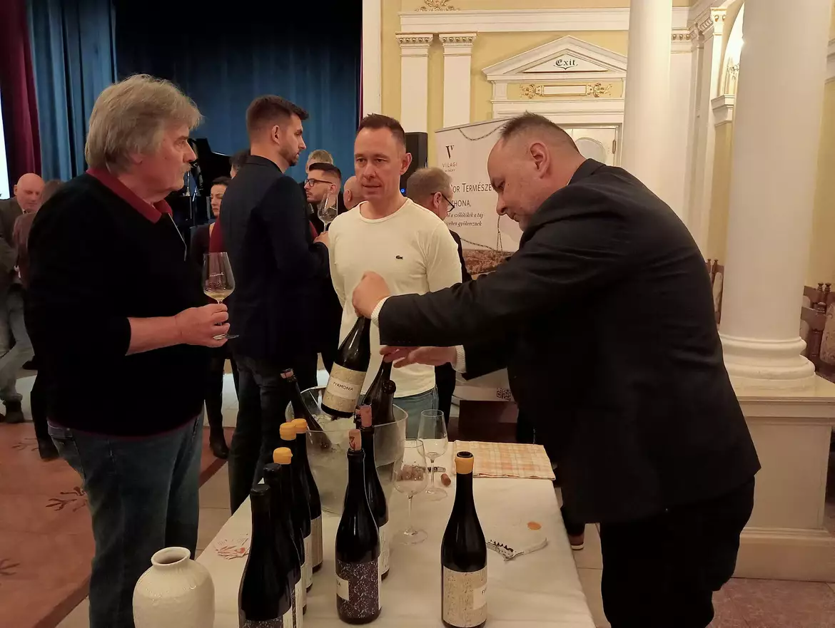 Összecsendült sok pohár: egy titok nyomában a IV. Komáromi Borünnepen – KÉPEKKEL