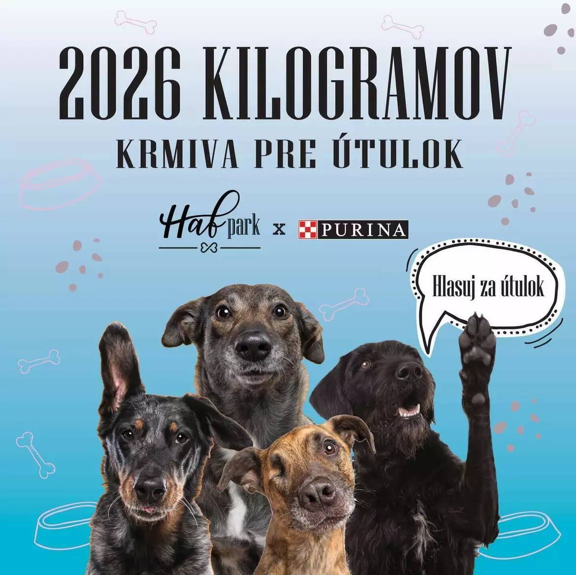 2026 kiló jóság: a legtöbb voksot kapó ebmenhelyek kutyatápot nyernek 