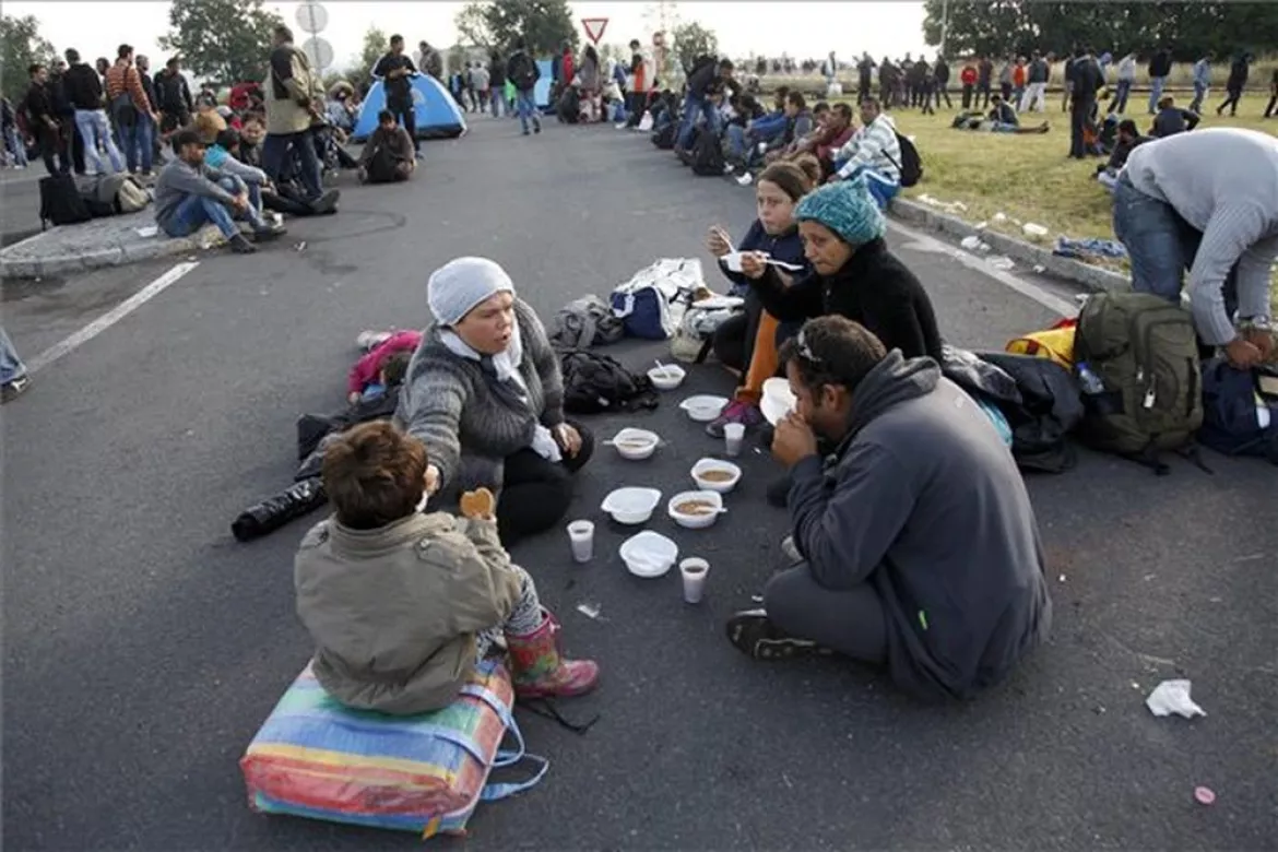 201707031410360.0000000000000000000000000001a_migrans.jpg 201707031410360.0000000000000000000000000001a_migrans.jpg