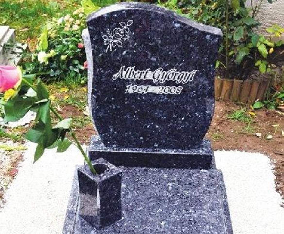albert-gyorgyi.jpg albert-gyorgyi.jpg