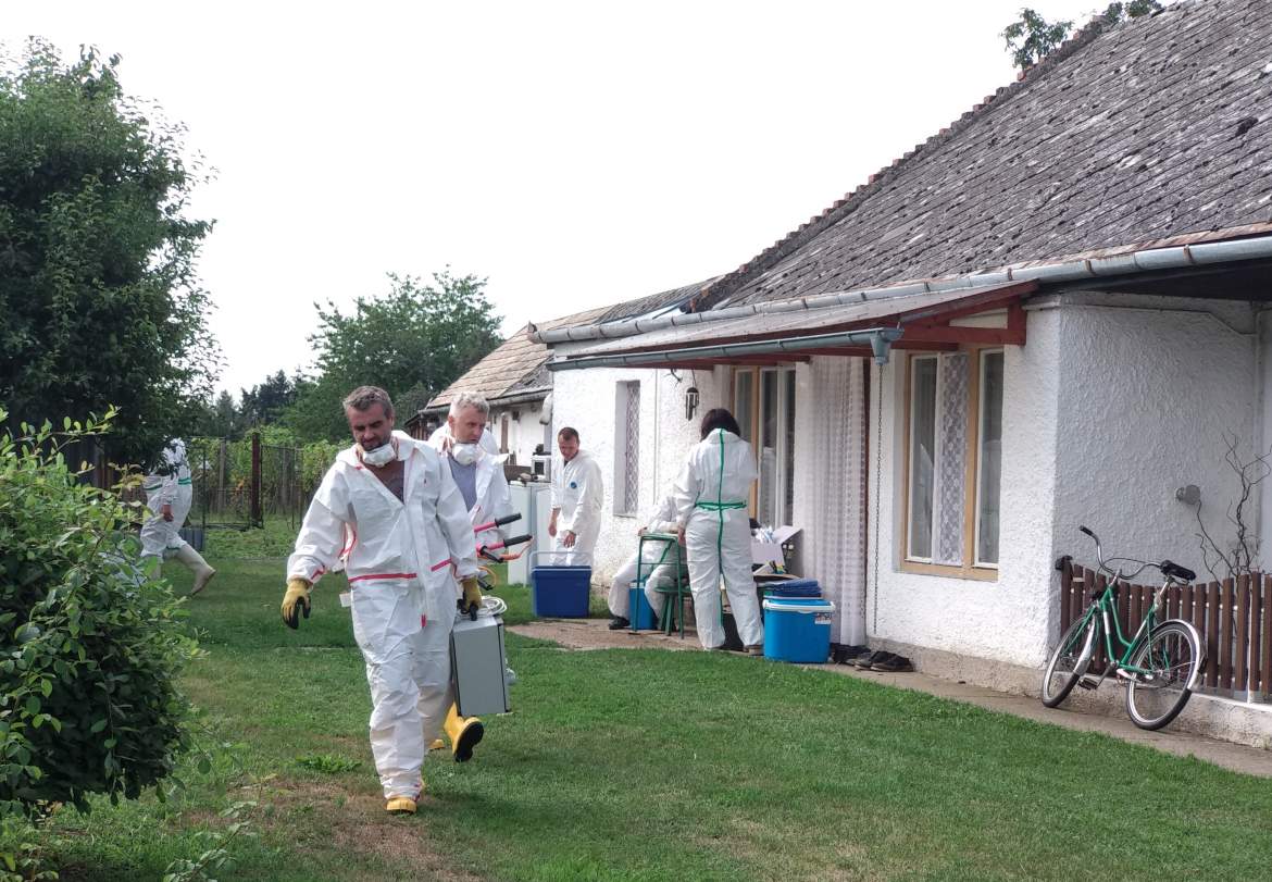 Őrös sertéspestis Őrös sertéspestis