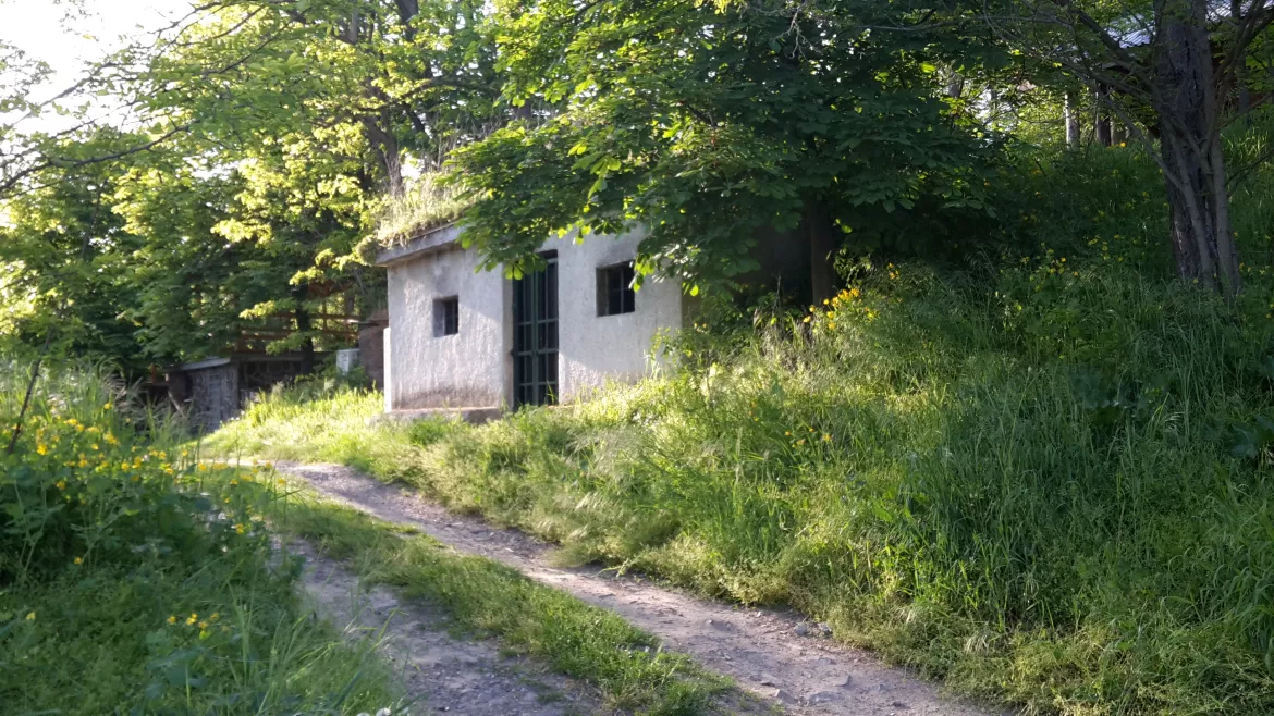 felfedezni - Bodrogköz