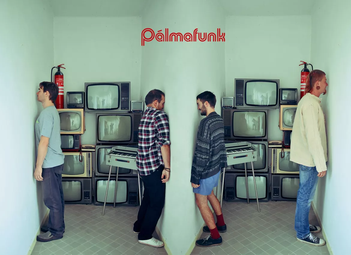 Pálmafunk