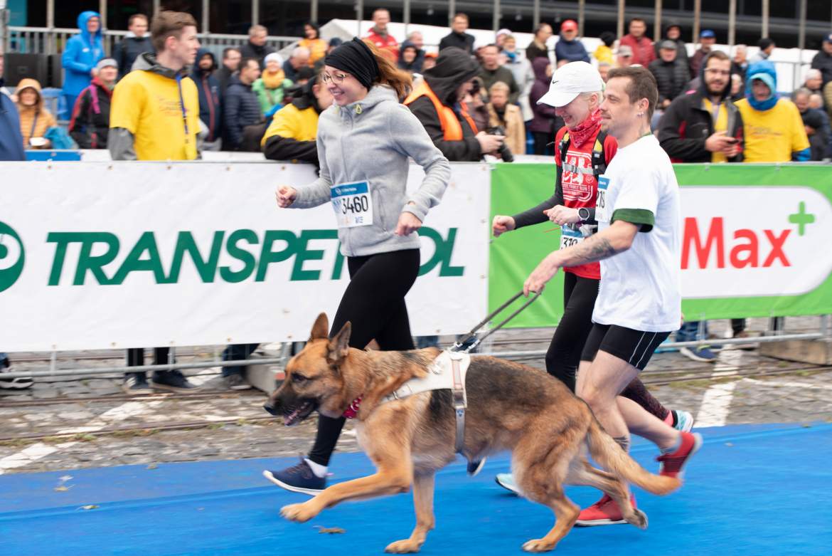 96. Nemzetközi Békemaraton, Kassa 96. Nemzetközi Békemaraton, Kassa