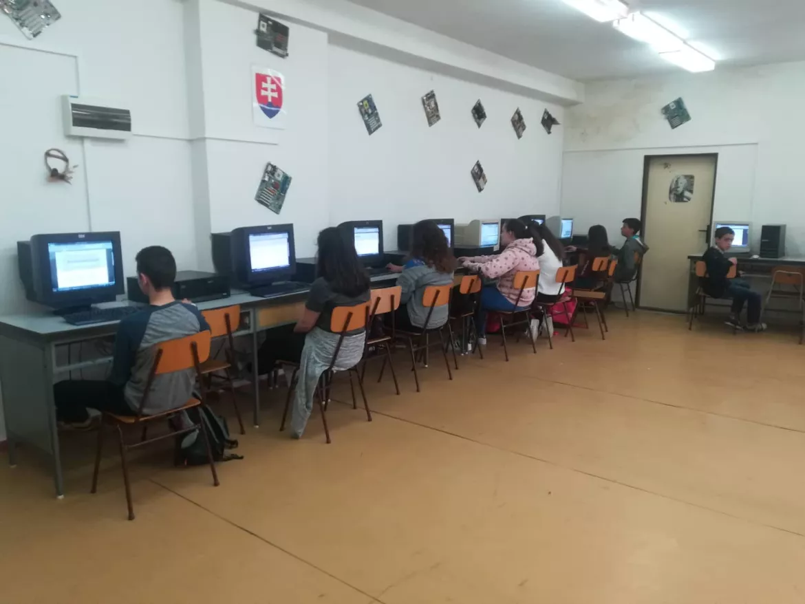 tersegi-virag7.jpg