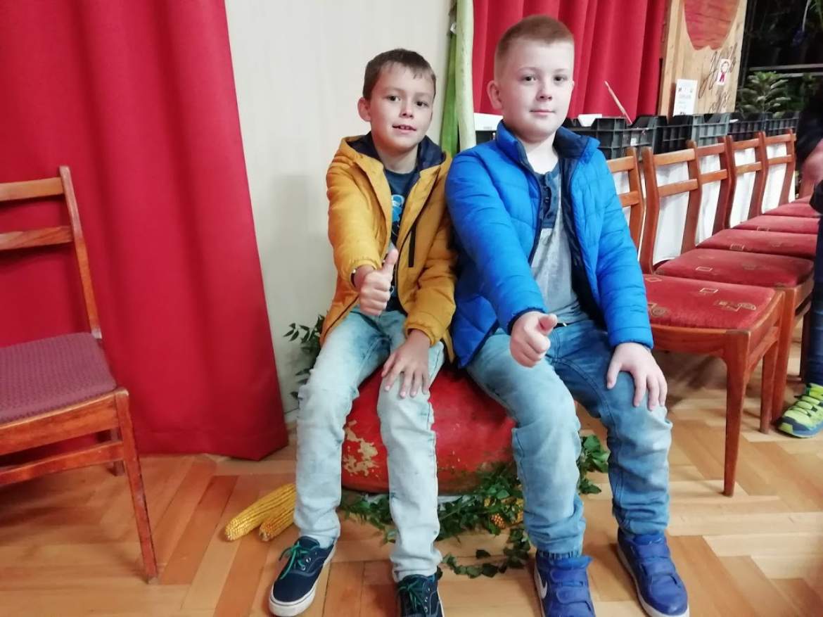 Csallóköz Gyümölcse Csallóköz Gyümölcse